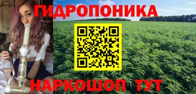 альфа пвп Заводоуковск