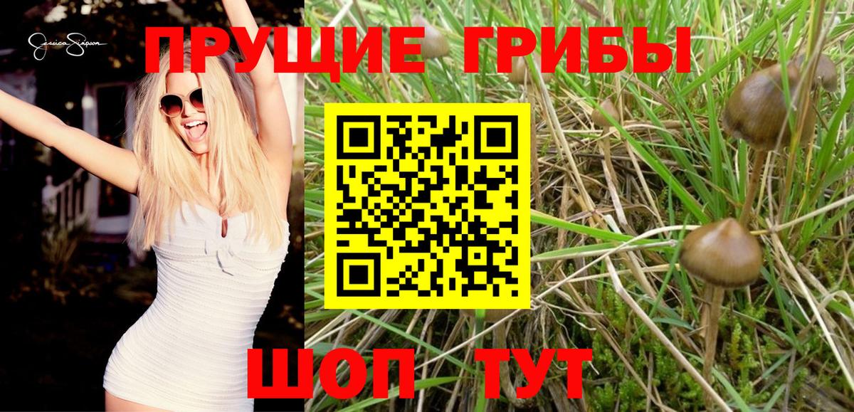 Краснокаменск  Галлюциногенные грибы мухоморы  Вход с VPN 
