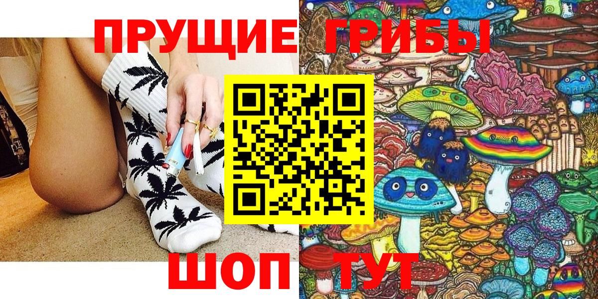 Псилоцибиновые грибы Psilocybe Краснокаменск